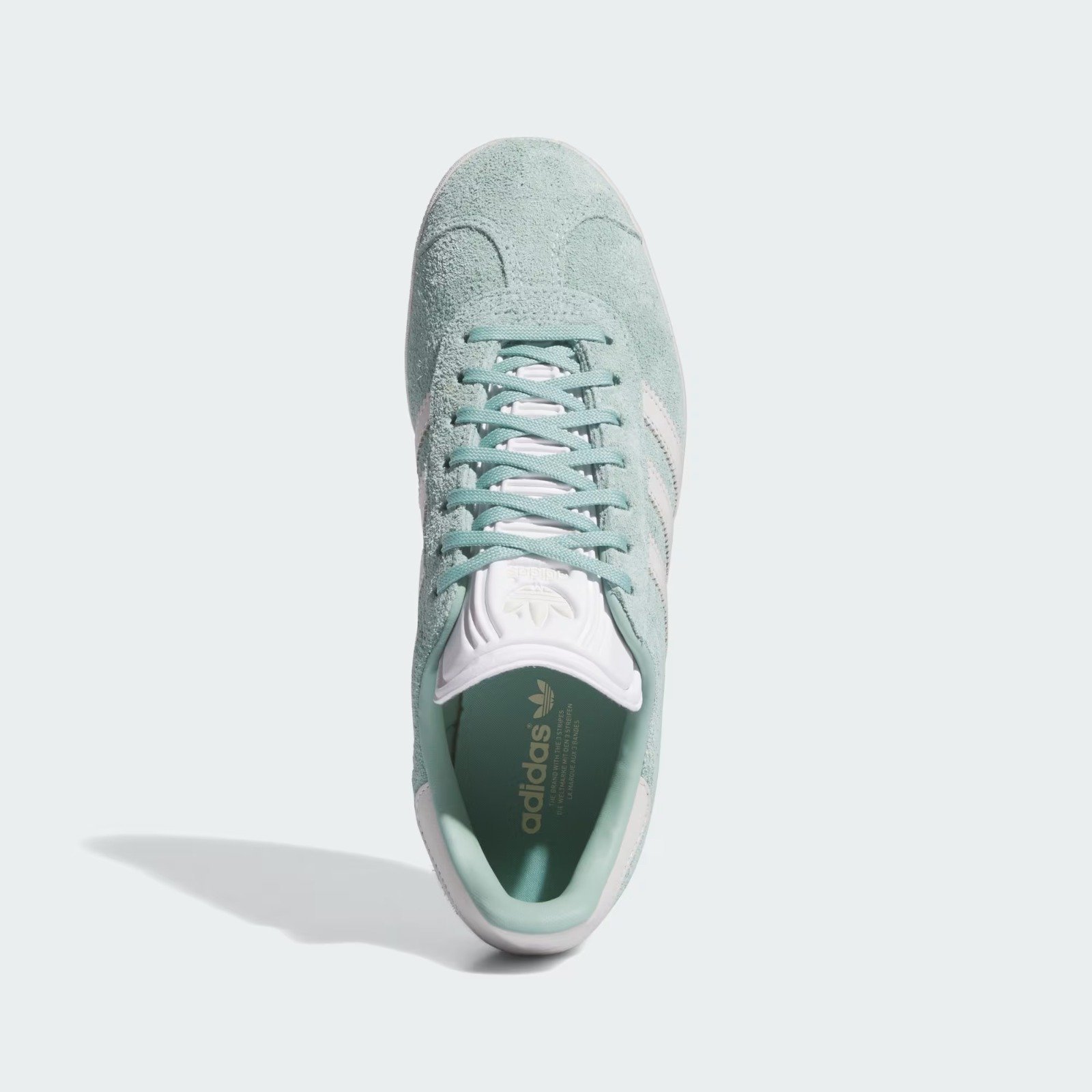 GAZELLE – Image 2