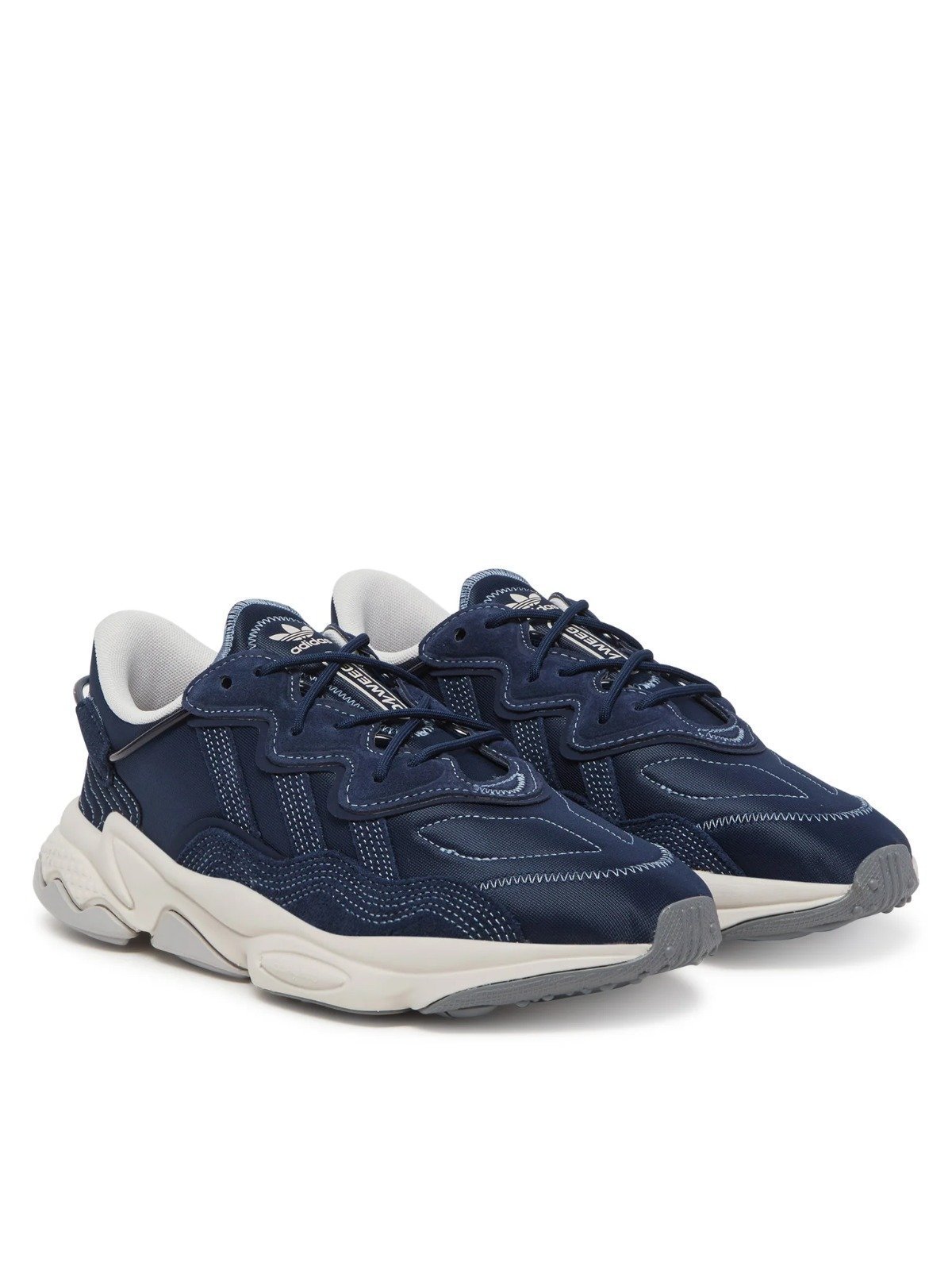 OZWEEGO – Image 2
